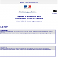 Modèle demande en injonction de payer Avignon Service public